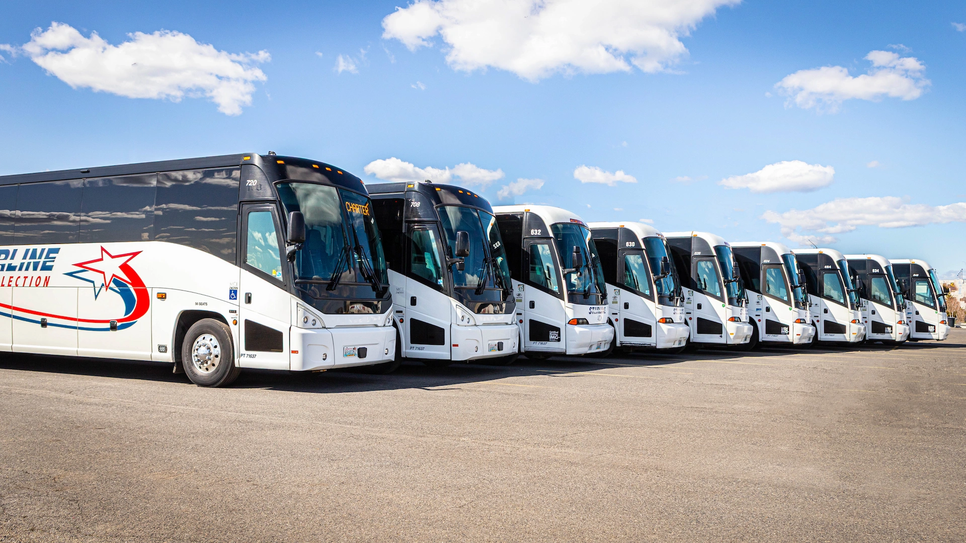 Large angled lineup of Starline Collection white motorcoaches in an open lot under a bright blue sky