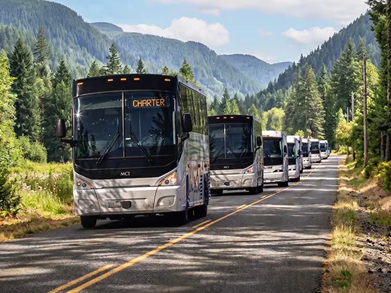 Fleet of MCI charter buses traveling through a lush Pacific Northwest mountain forest highway